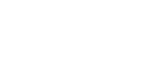 Southwark Council White Logo